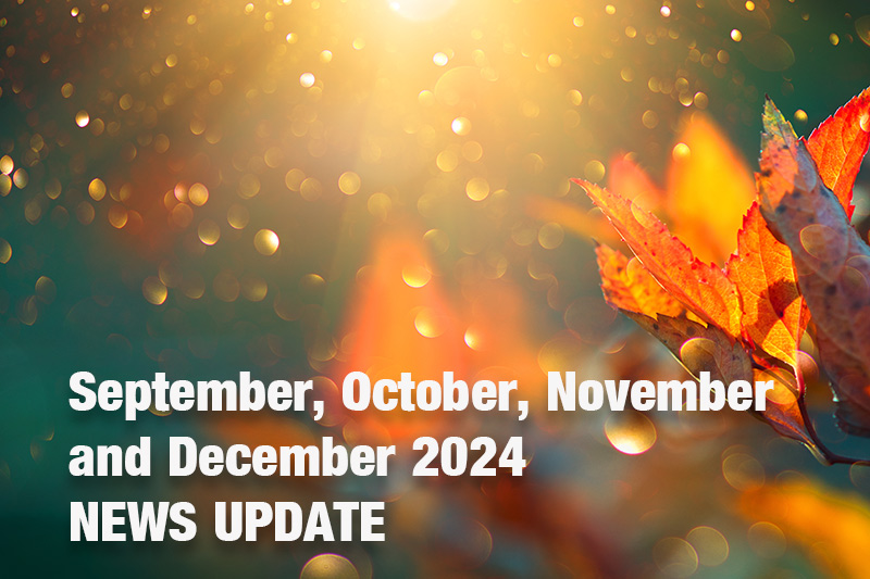 Marie's September, October, November & December 2024 Update